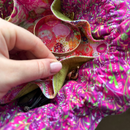 Jewellery Nest Project Pack *For Stitchi Club Members Only* | Does Not Include Video Tutorial