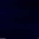 Midnight Blue cotton poplin fabric