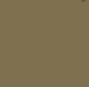 Khaki cotton poplin fabric